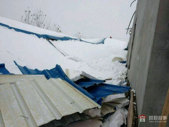 山東省日照市莒縣某大型標準化養(yǎng)鴨場遭遇雪災 山東省日照市莒縣某大型標準化養(yǎng)鴨場遭遇雪災