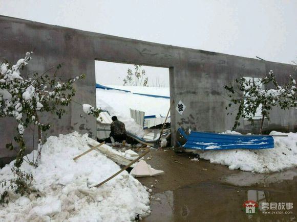 山東省日照市莒縣某大型標準化養(yǎng)鴨場遭遇雪災 山東省日照市莒縣某大型標準化養(yǎng)鴨場遭遇雪災