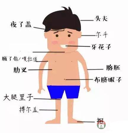 只有莒縣人才能看懂的人體構(gòu)造圖，好深?yuàn)W好羞澀