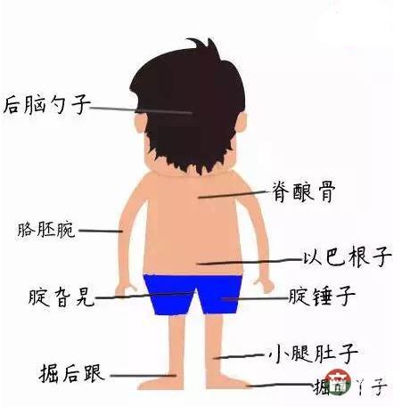 只有莒縣人才能看懂的人體構(gòu)造圖，好深?yuàn)W好羞澀