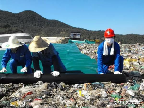 “逼瘋”上海人的垃圾分類背后，藏著中國人不知道的殘忍真相