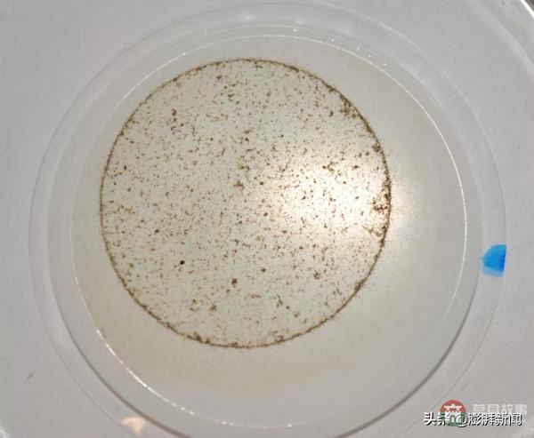 “逼瘋”上海人的垃圾分類背后，藏著中國人不知道的殘忍真相