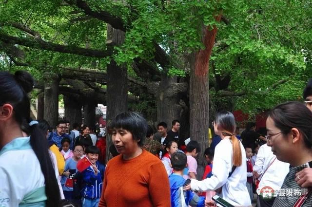 國慶假期莒縣最新“旅行情報圖”，為你泄密哪里“人從眾”