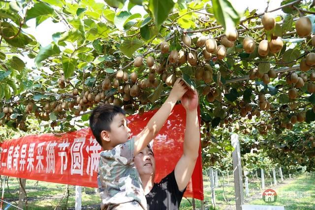 國慶假期莒縣最新“旅行情報圖”，為你泄密哪里“人從眾”